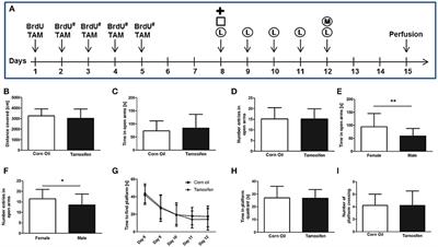 Tamoxifen Activation of Cre-Recombinase Has No Persisting Effects on Adult Neurogenesis or Learning and Anxiety